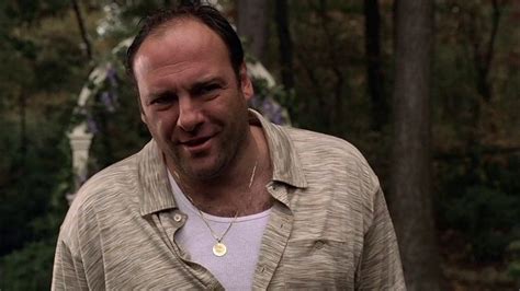 tony soprano necklace medal